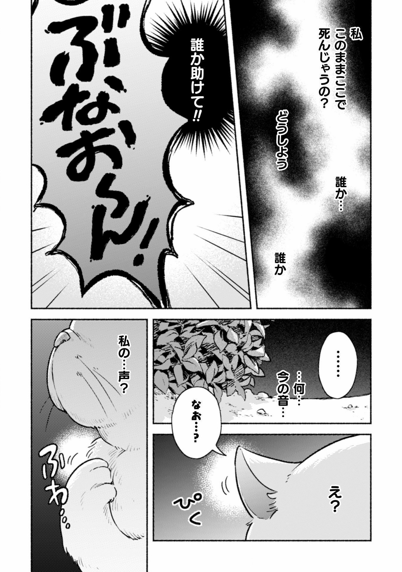 Nekura Kishi ni Yoru Dekiai Mankitsu-chuu nu Busa Neko, Jitsu wa Seijo desu! - Chapter 1 - Page 66
